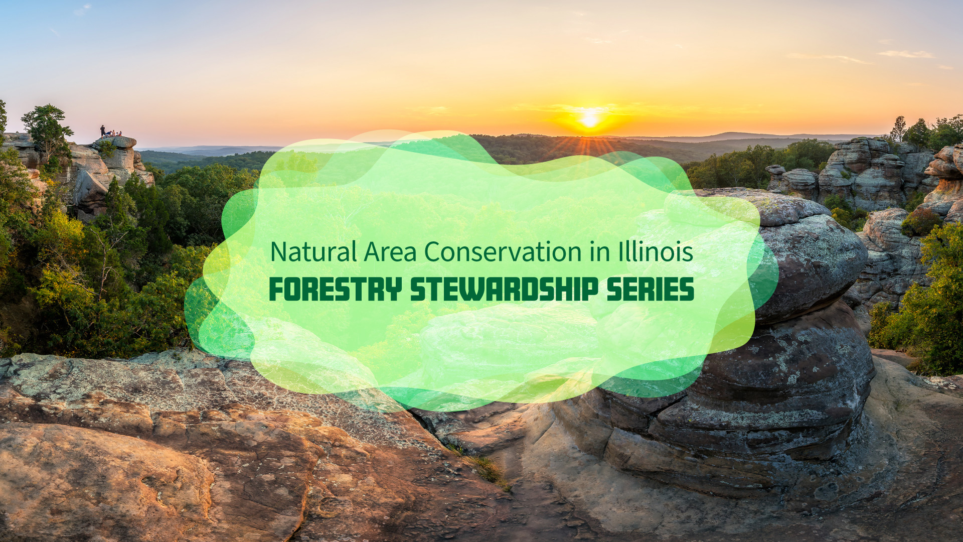 Natural Area Conservation in Illinois Wildlife Illinois Extension